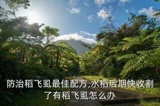 農(nóng)藥烯啶吡酮制什么