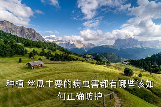 絲瓜有病菌用什么農藥,絲瓜打什么農藥最好