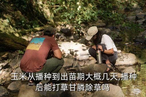  玉米從播種到出苗期大概幾天,播種后能打草甘膦除草嗎