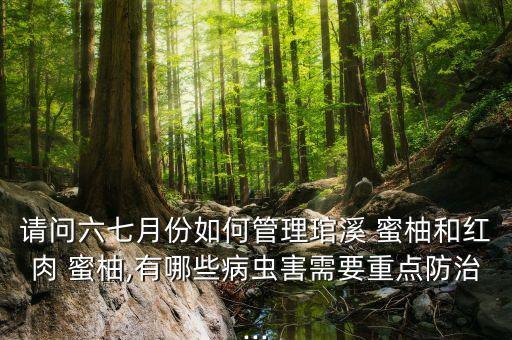 請問六七月份如何管理琯溪 蜜柚和紅肉 蜜柚,有哪些病蟲害需要重點防治...