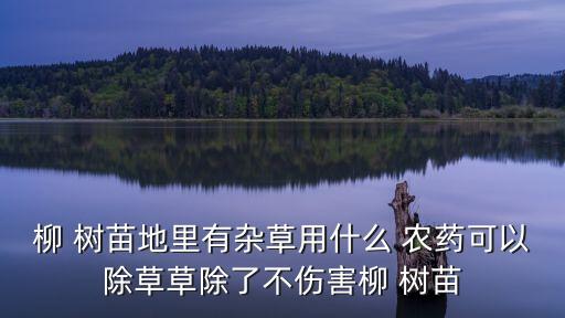 柳 樹苗地里有雜草用什么 農(nóng)藥可以除草草除了不傷害柳 樹苗