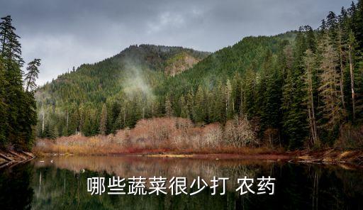 哪些蔬菜很少打 農藥