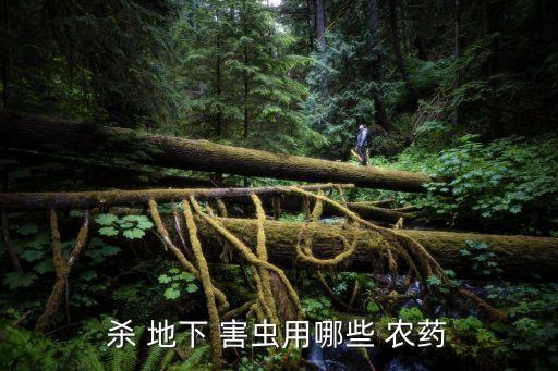 什么農(nóng)藥可以防治地下害蟲