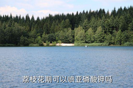  荔枝花期可以噴亞磷酸鉀嗎