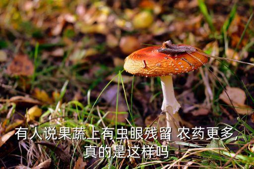 有人說果蔬上有蟲眼殘留 農(nóng)藥更多,真的是這樣嗎