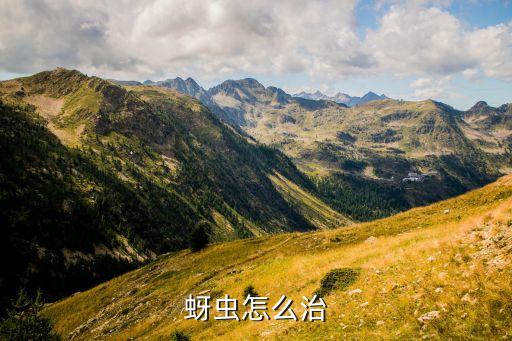 治療牙蟲用什么農藥,生蚜蟲有什么辦法治療