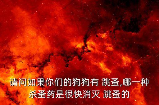 請問如果你們的狗狗有 跳蚤,哪一種殺蚤藥是很快消滅 跳蚤的
