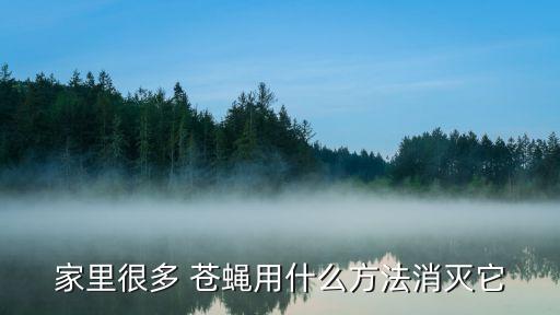 家里很多 蒼蠅用什么方法消滅它