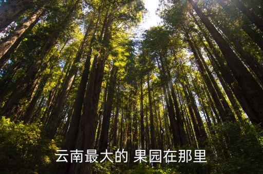 什么果園不用農藥的呢,用什么方法不用農藥也可以殺蟲