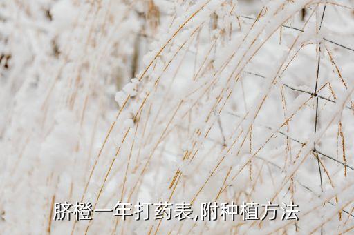 臍橙一年打藥表,附種植方法