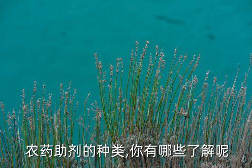 固態顆粒農藥是什么藥啊,小白菜里的藍色顆粒是什么農藥