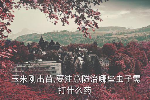 玉米前期打什么農(nóng)藥好使,什么農(nóng)藥能讓玉米不結(jié)棒