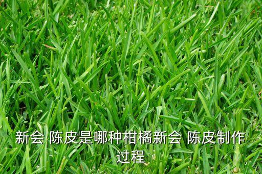 新會 陳皮是哪種柑橘新會 陳皮制作過程