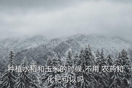 種植水稻和玉米的時候,不用 農(nóng)藥和化肥可以嗎