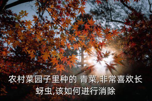 青菜苗期防蟲打什么農藥,青菜噴什么可以防蟲