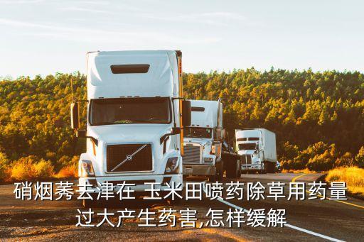 硝煙莠去津在 玉米田噴藥除草用藥量過大產生藥害,怎樣緩解