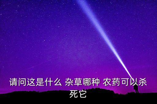 河水中雜草用什么農藥,春季雜草用什么農藥效果好