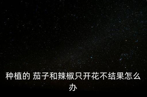 茄子不結果用什么農藥好,茄子喜歡什么肥結果多