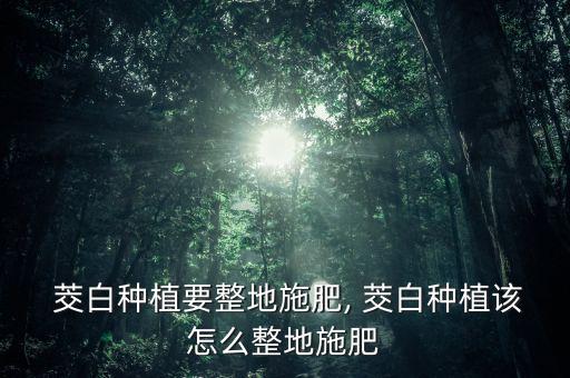  茭白種植要整地施肥, 茭白種植該怎么整地施肥