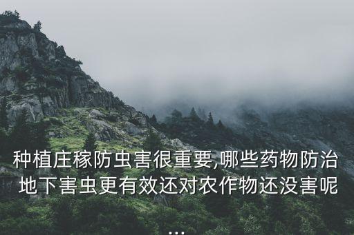 種植莊稼防蟲害很重要,哪些藥物防治 地下害蟲更有效還對農作物還沒害呢...
