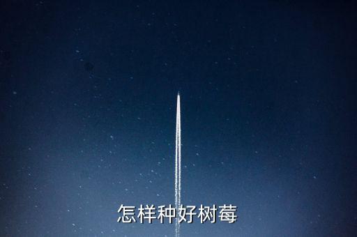 怎樣種好樹莓