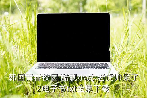 韓國(guó)青春校園 酷靚小說:老虎帥呆了2電子書txt全集下載