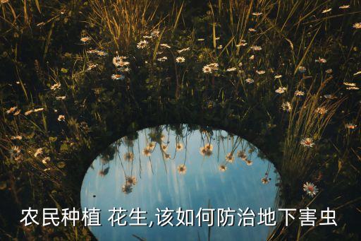 花生除蟲用什么農藥,除蟲農藥什么時間施好?