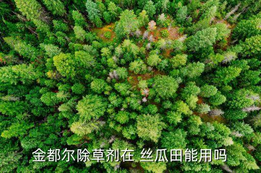 絲瓜苗期用什么農藥防治,絲瓜打什么農藥最好