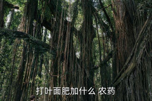 打葉面肥加什么 農(nóng)藥