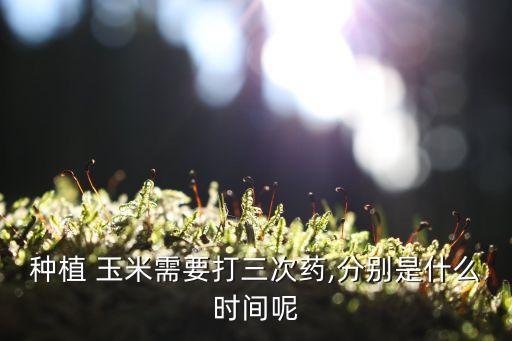 種植 玉米需要打三次藥,分別是什么時間呢