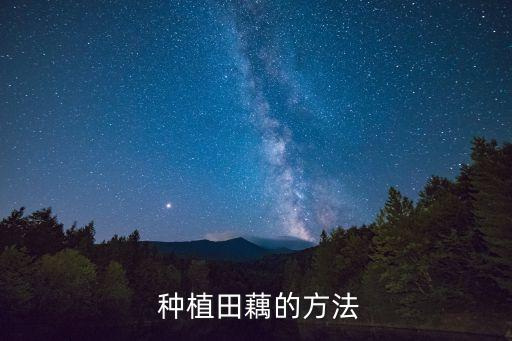  種植田藕的方法