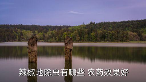 辣椒打什么農藥不留巴,辣椒殺蟲用什么農藥