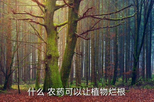 什么 農(nóng)藥可以讓植物爛根