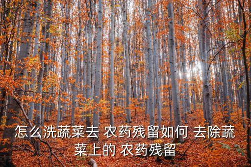 洗菜放什么能去除農(nóng)藥