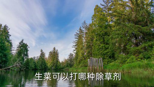 生菜打什么農(nóng)藥殺蟲子,生菜用什么農(nóng)藥