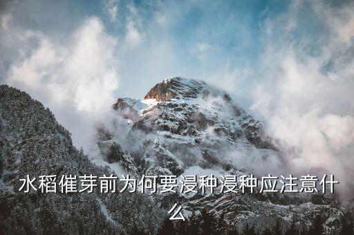  水稻催芽前為何要浸種浸種應注意什么