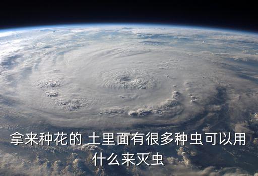 種花生拌什么農藥,土里拌什么農藥殺蟲