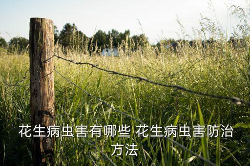 花生病蟲害有哪些 花生病蟲害防治方法