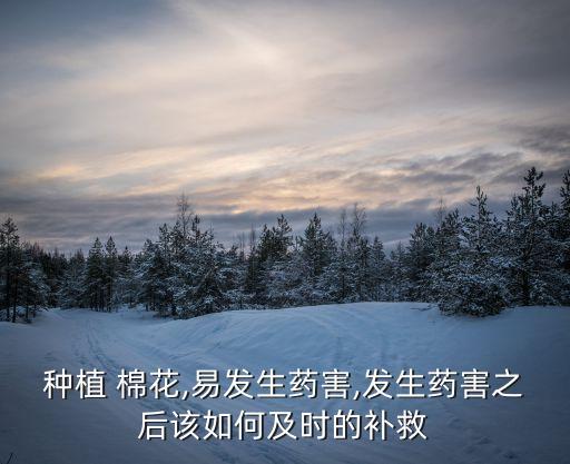 棉花什么時(shí)候可以打農(nóng)藥,棉花打農(nóng)藥什么時(shí)候打最好