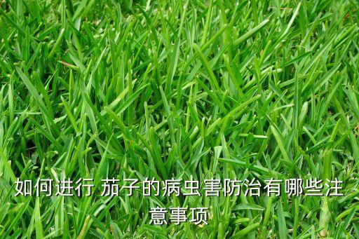 如何進行 茄子的病蟲害防治有哪些注意事項