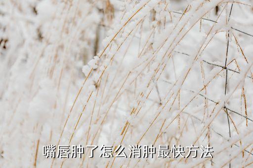  嘴唇腫了怎么消腫最快方法