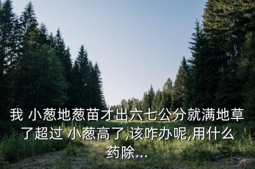 我 小蔥地蔥苗才出六七公分就滿地草了超過 小蔥高了,該咋辦呢,用什么藥除...