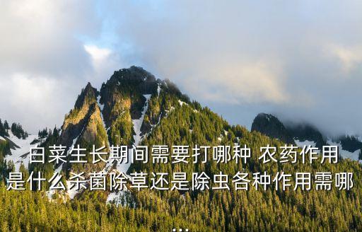  白菜生長期間需要打哪種 農(nóng)藥作用是什么殺菌除草還是除蟲各種作用需哪...