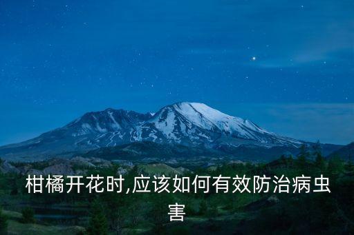  柑橘開花時,應該如何有效防治病蟲害