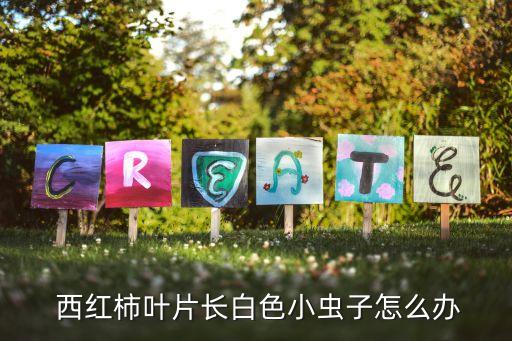  西紅柿葉片長白色小蟲子怎么辦