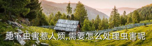 魚蝦怕什么農藥殘留,水稻田最怕什么農藥殘留