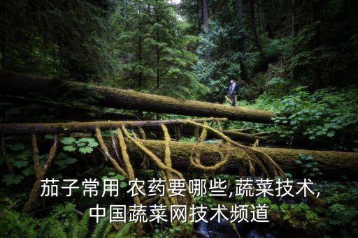 什么農藥對茄子有害呢,茄子里面有什么有害物質