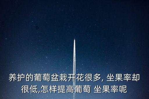 打什么農(nóng)藥提高坐果率,提高果樹坐果率的農(nóng)藥