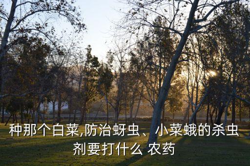 買什么農(nóng)藥滅菜葉蟲