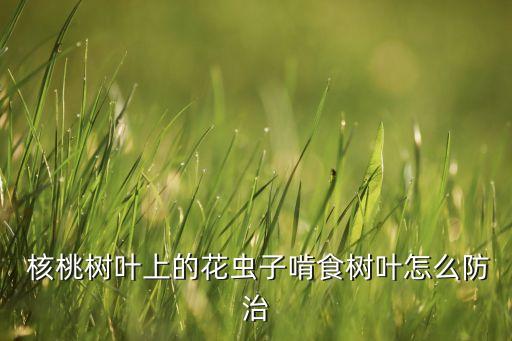  核桃樹葉上的花蟲子啃食樹葉怎么防治
